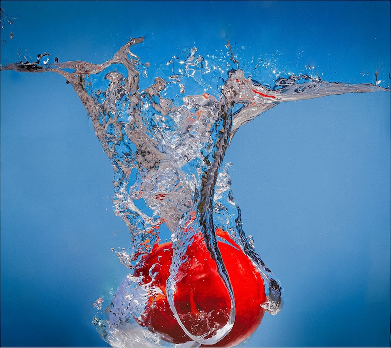 Sapphire Coast Camera Club - Carol Lambrecht - Plum Explosion