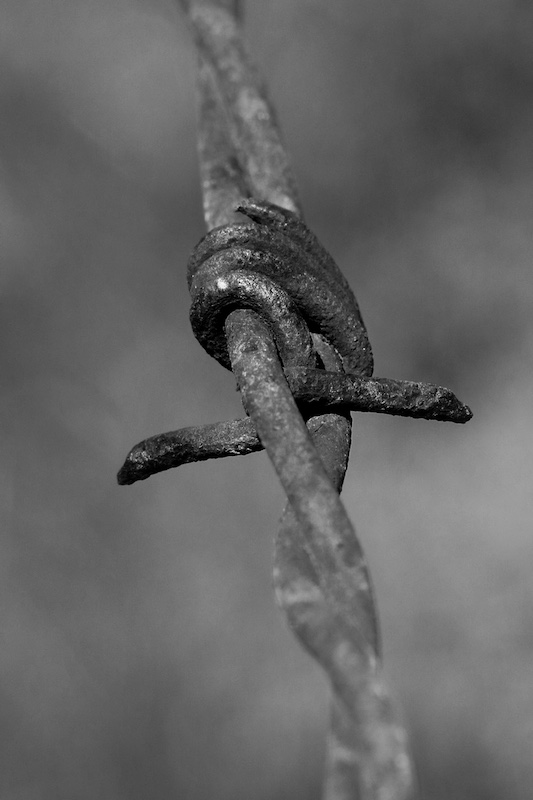 Witzenberg Photographic Society - Mabru Marais - Tyd verweer