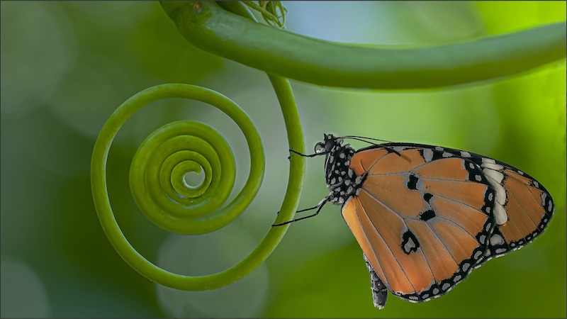 Brandpuntfotoklub - Elsa E van Dyk - Pas gebore