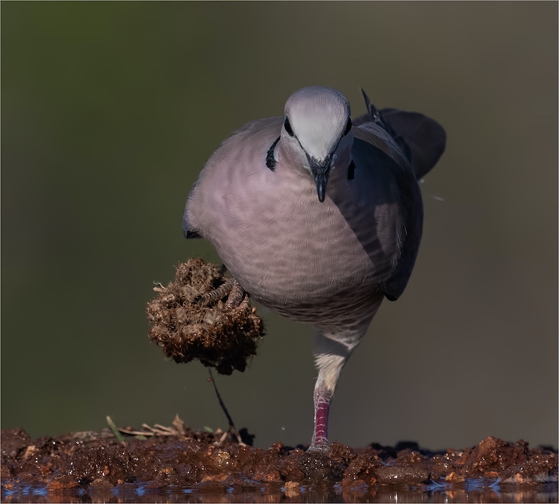 Eric Bosman -  Independent - Got Stuck