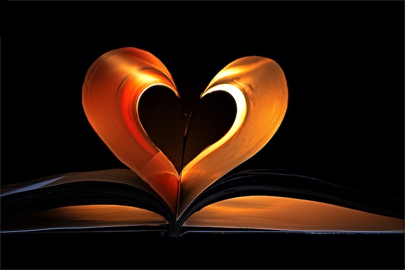 Geo Jooste - Bloemfontein Kameraklub - orange heart