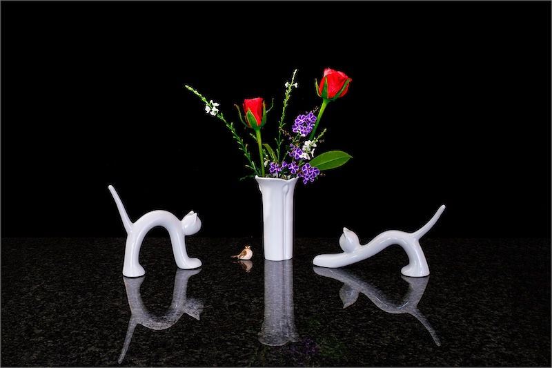 Rob Minter - Tygerberg Photographic Society - I could be in trouble here