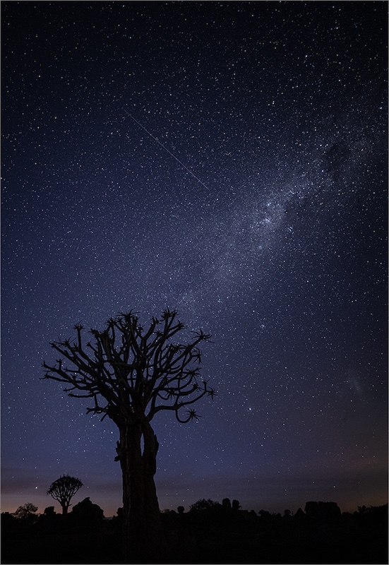 AFO - Rina Hattingh - Milky way Namibie