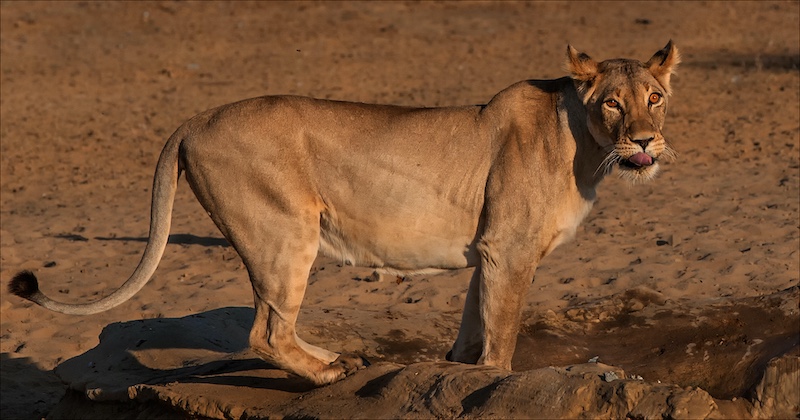 Ermelo Fotoklub - Rosa van Schalkwyk - Polentswa se water is heerlik