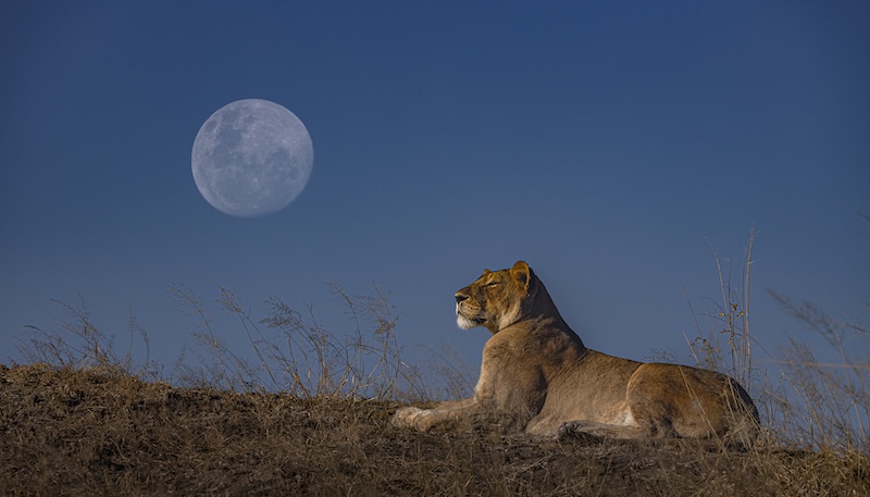 Princes Grant Camera Club - Sharlene Cathro - Sunset with a full moon