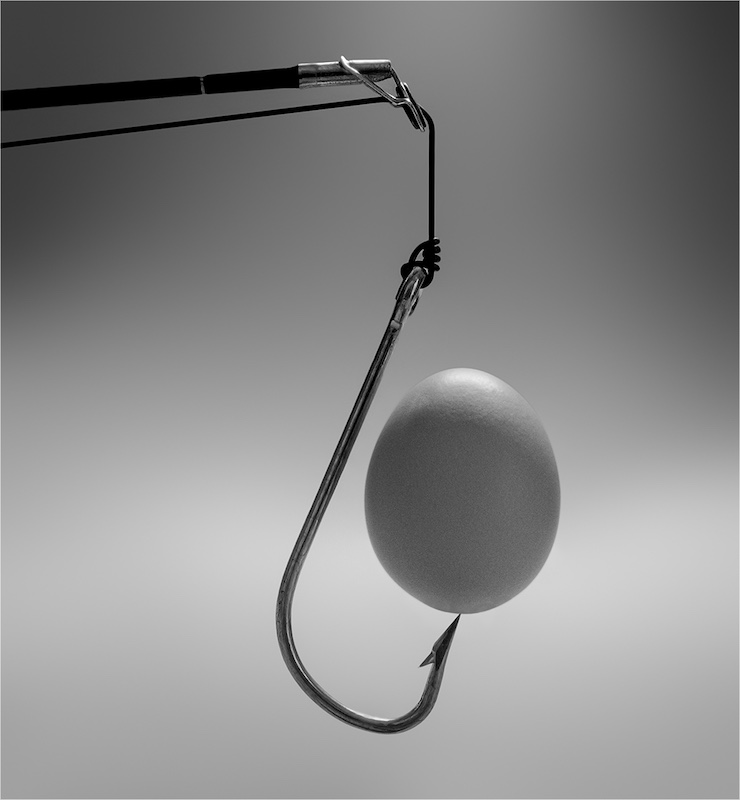 Tygerberg Photographic Society - Rob Minter - A Balanced Meal