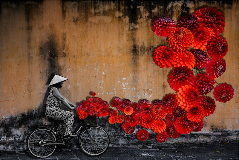 Anton La Grange - Mosselbaai Kameraklub - Flower delivery