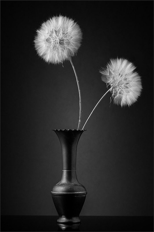 Arnold Bester - F-Stop Fotografiese Vereniging - Double Dandy