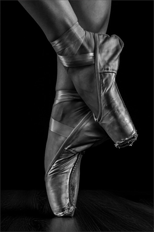 Cynthia Uren - Southern Suburbs Camera Club - Dedication