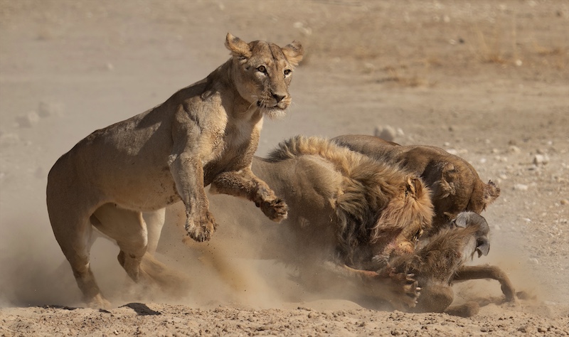 Geo Jooste - Bloemfontein Kameraklub - k46A