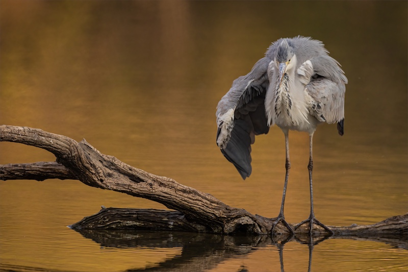 Jan Roos - Brandpuntfotoklub - Late afternoon cleaning