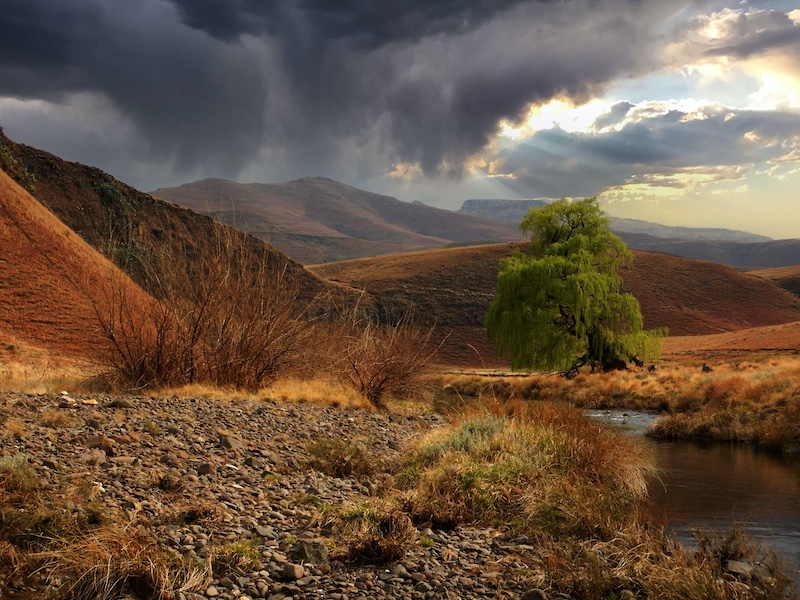 Merten Jansen van Rensburg - Princes Grant Camera Club - Golden storm