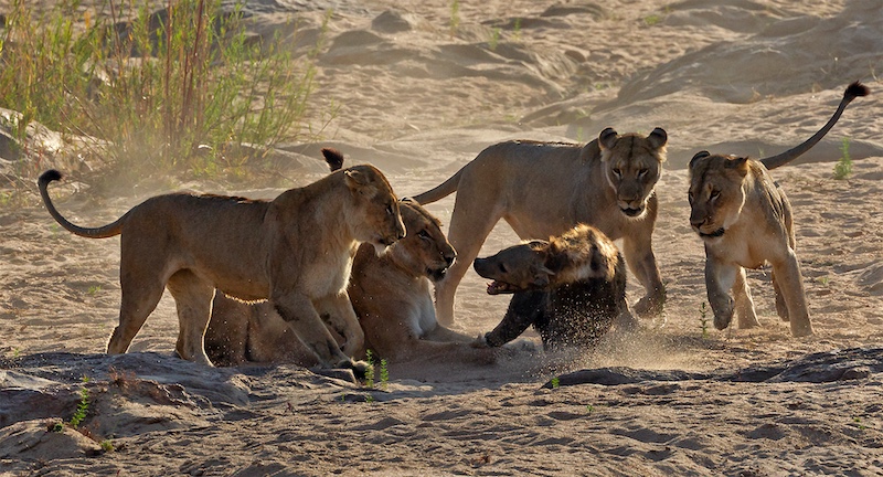 Michele-Ann Nel - Creative Camera Club - 4 against