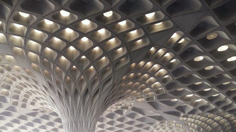 Durban Camera Club - Ross Dovey - Concrete Tree