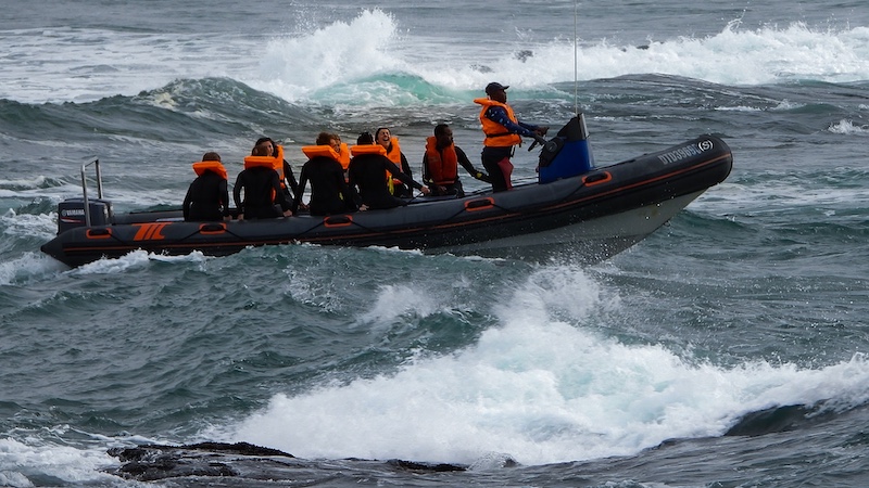 Scottburgh Camera Club - Mirinda Gericke - Why did I do this lol