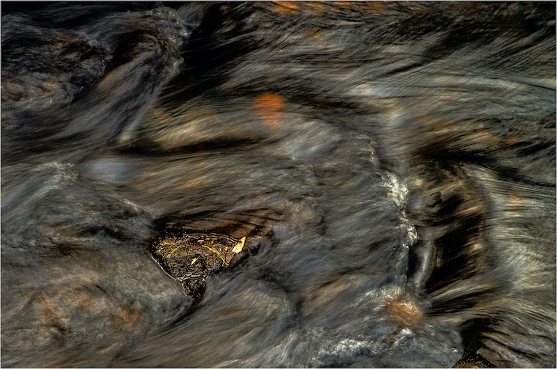 Pretoria Photographic Society - John Tapuch - Kept behind