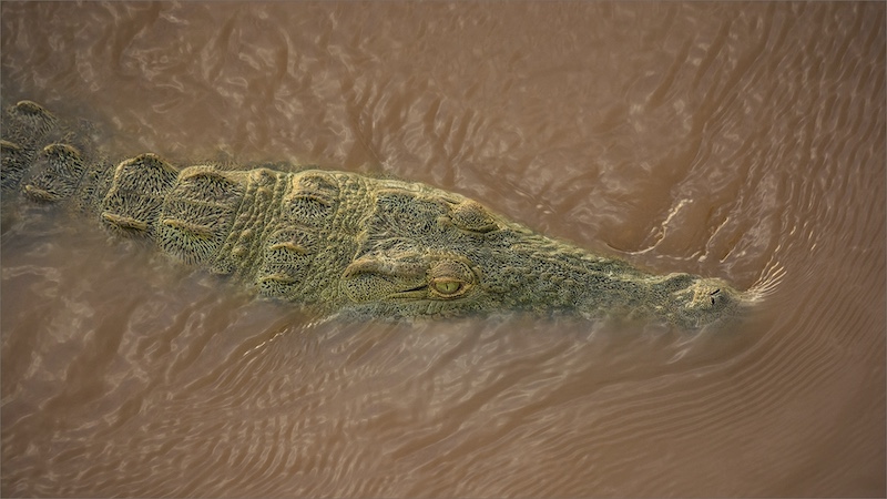 Eleanor Hattingh - Krugersdorp Camera Club - Dangerous Waters