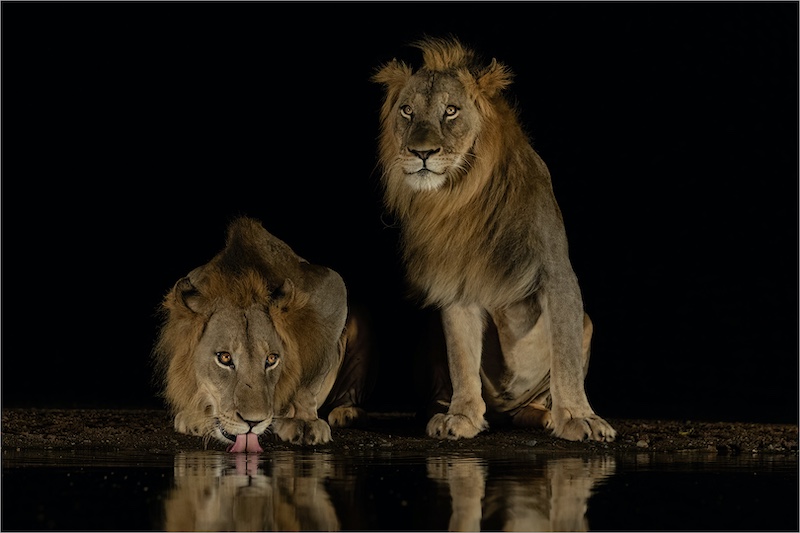 Howard Gillitt - Westville Camera Club - One up one down