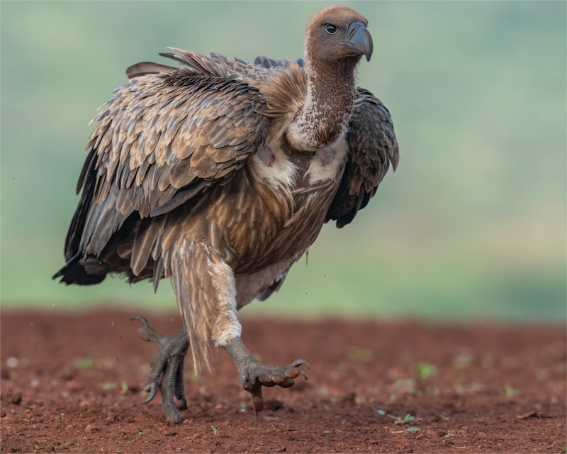 Jan Roos - Brandpuntfotoklub - On My Way