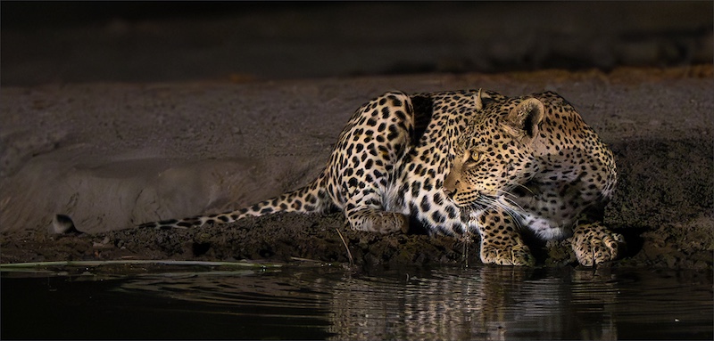 Leon Venter - Bethal Fotografie Klub - LEOPARD ALERT AT DRINKING POND