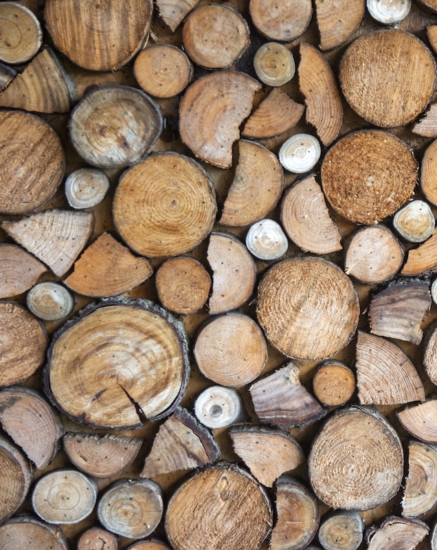 Bluff Camera Club - Maggie De Klerk - pizza please