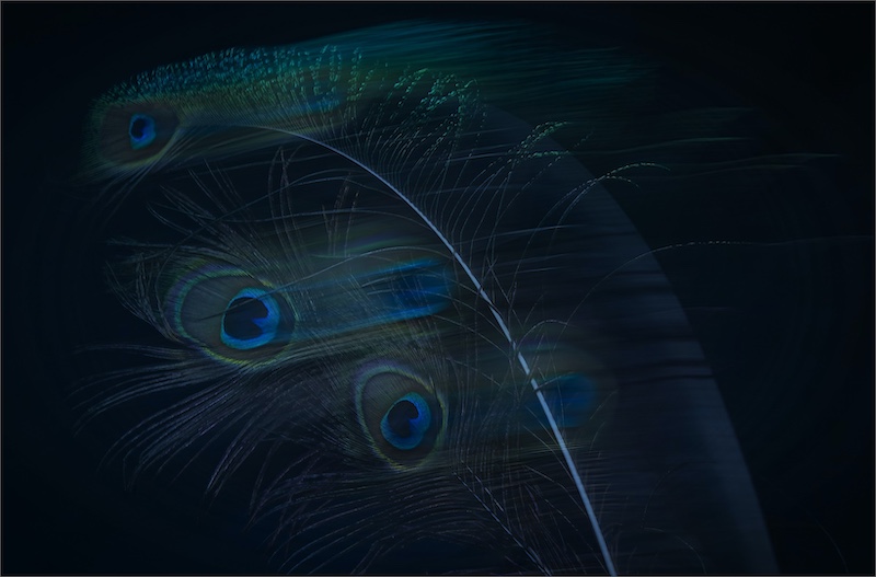 Klerksdorp Fotografie Klub - Esme De Beer - Magic Wand