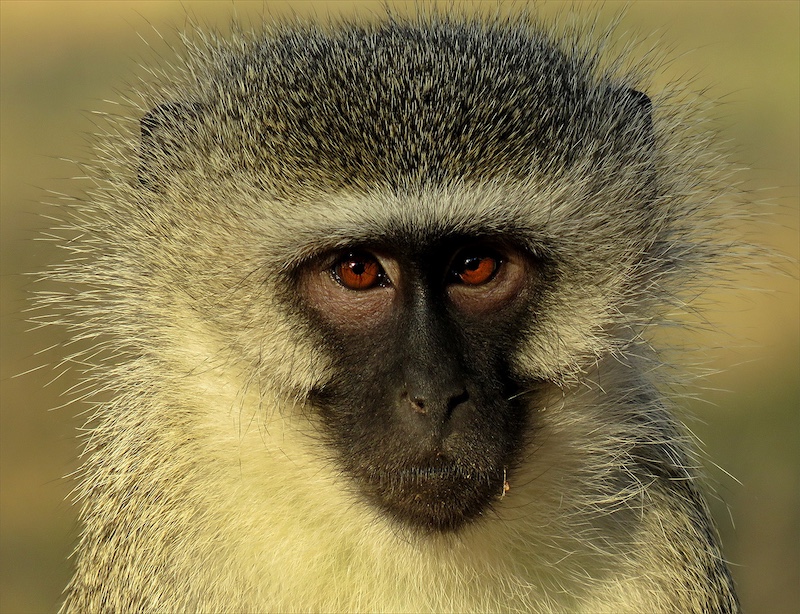 Kriel Foto Club - Petro Reinders - Stip Gefokus