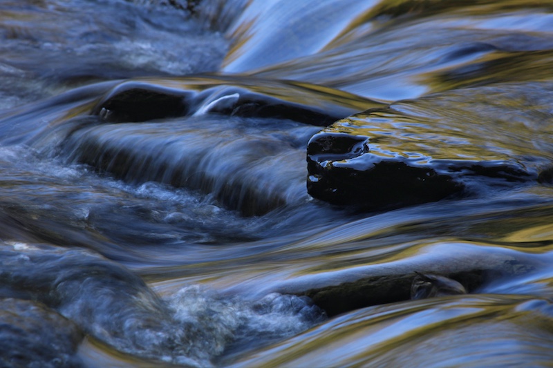 Paarl Photographic Club - North Nimtz - Gold in the Wilderness