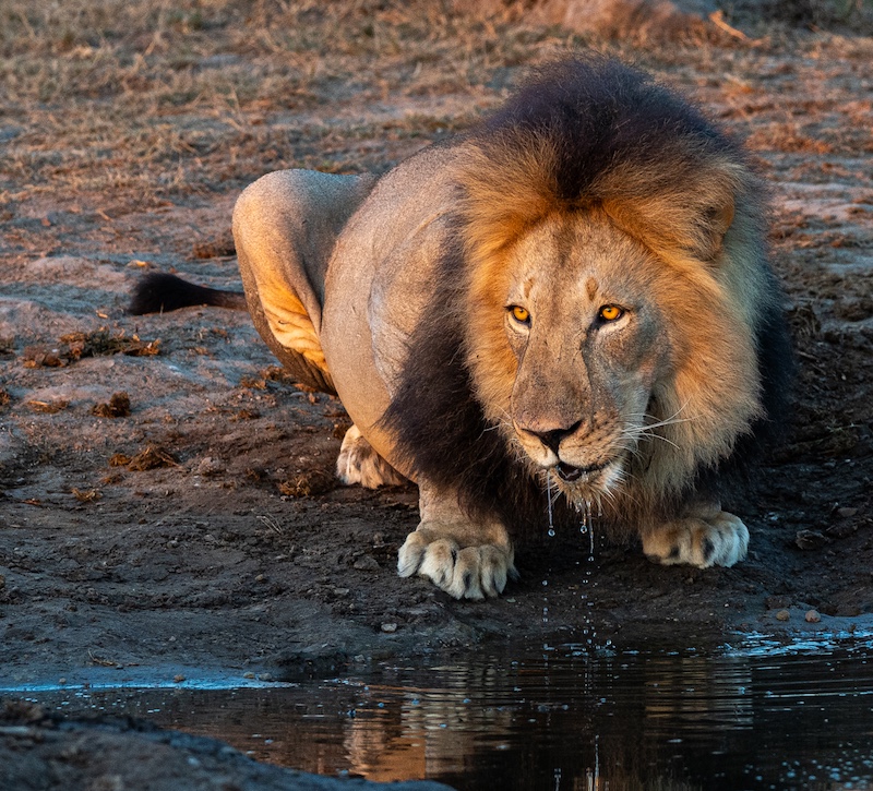 Sasol Highveld Photography Club - Edmund Hattingh - Vroegoggend dorsles