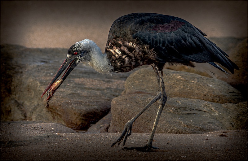 Springs Photographic Club - Jacobus Swart - Supper