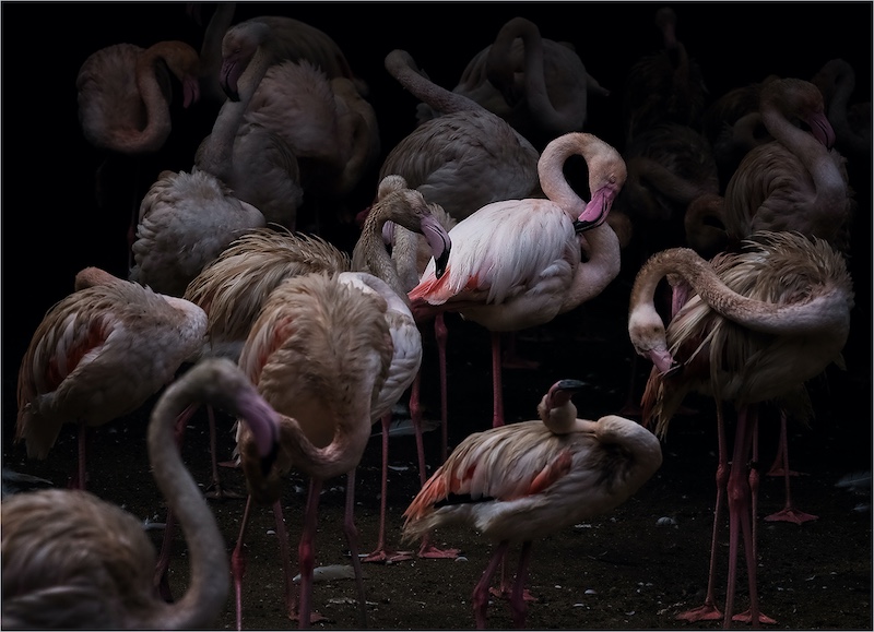 Swartland Fotografieklub - Andre Stipp - Standing out