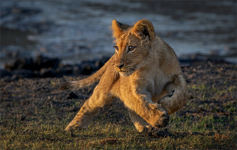 Vanderbijlpark Fotografiese Vereniging - Mietsie Visser - ek speel saam