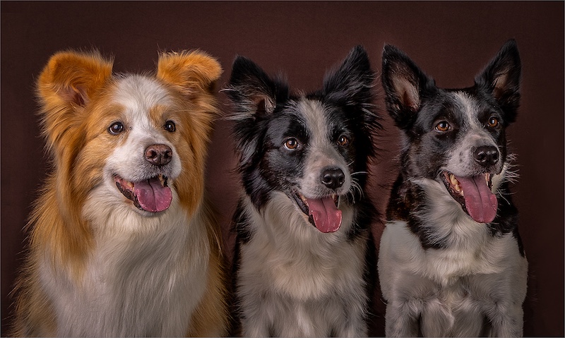 Anri Wessels - Brandpuntfotoklub - 3 musketiers