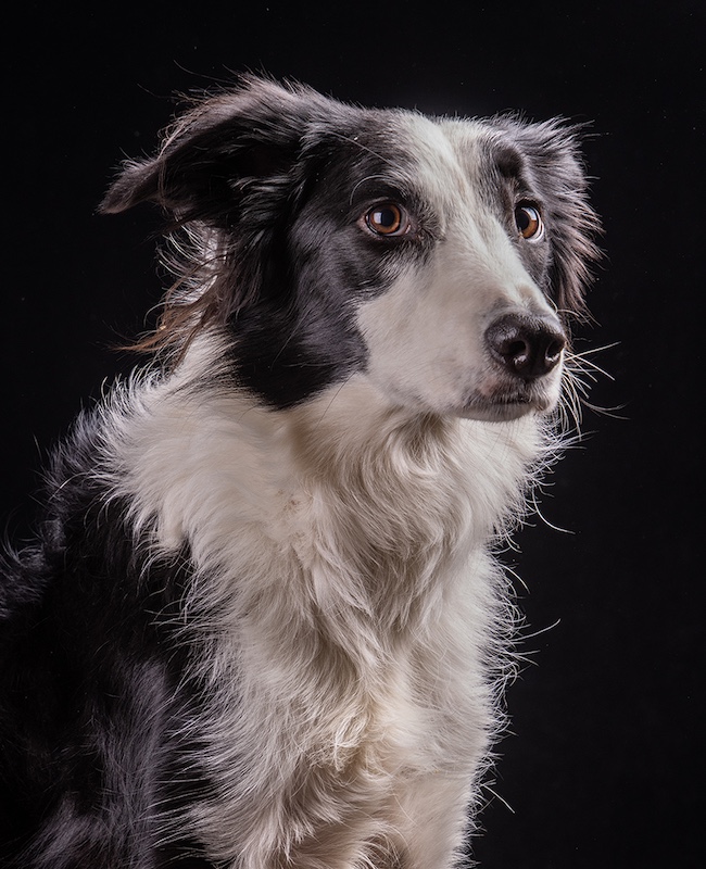 Peter Thomas - Brandpuntfotoklub - Kai