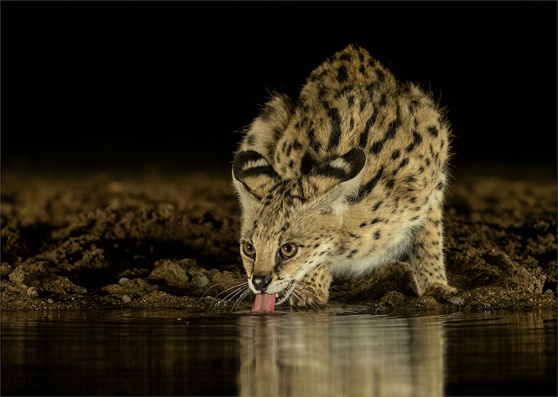 Shirley Gillitt - Westville Camera Club - In the middle of the night