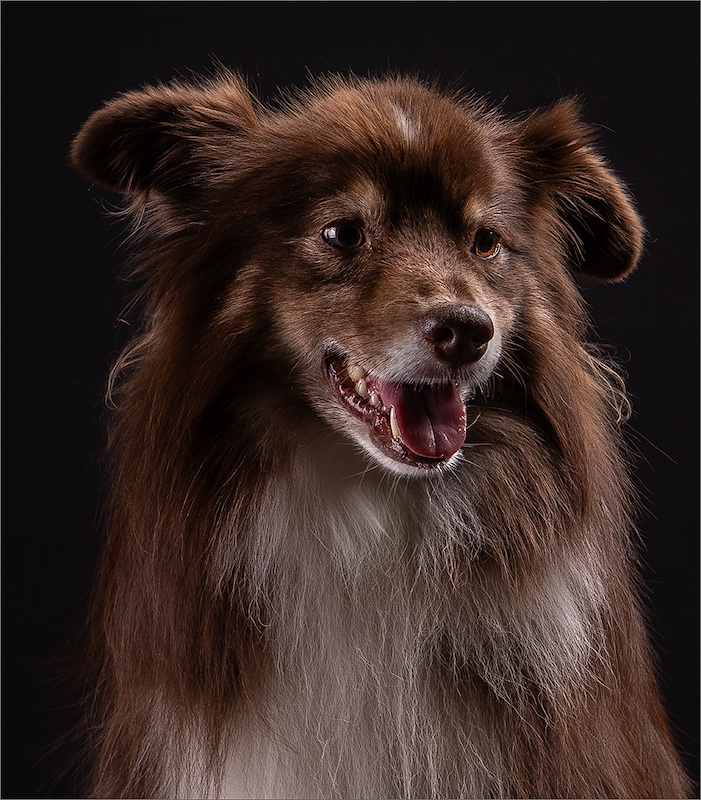 Brandpuntfotoklub - Peter Thomas - Woefie