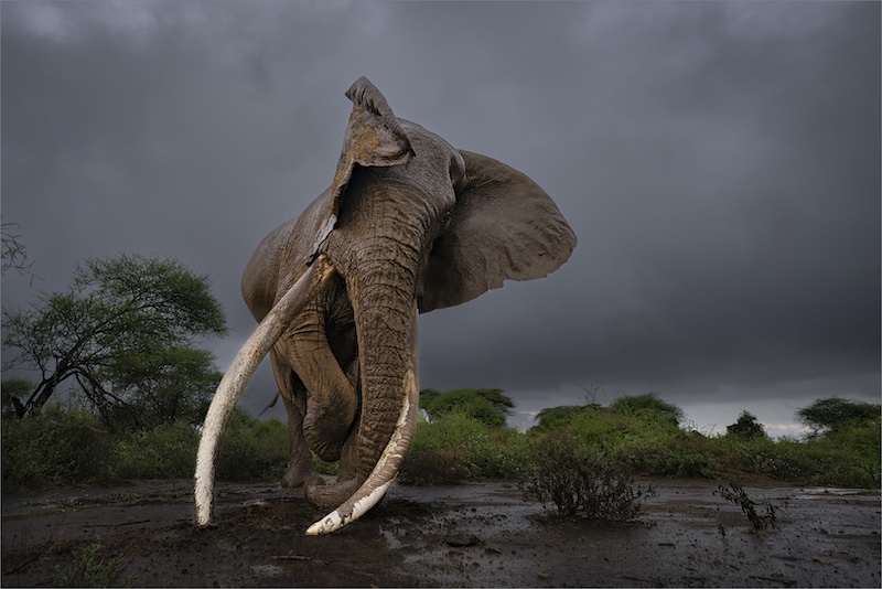 Midlens Fotoklub - Dewald Tromp - Old Soul