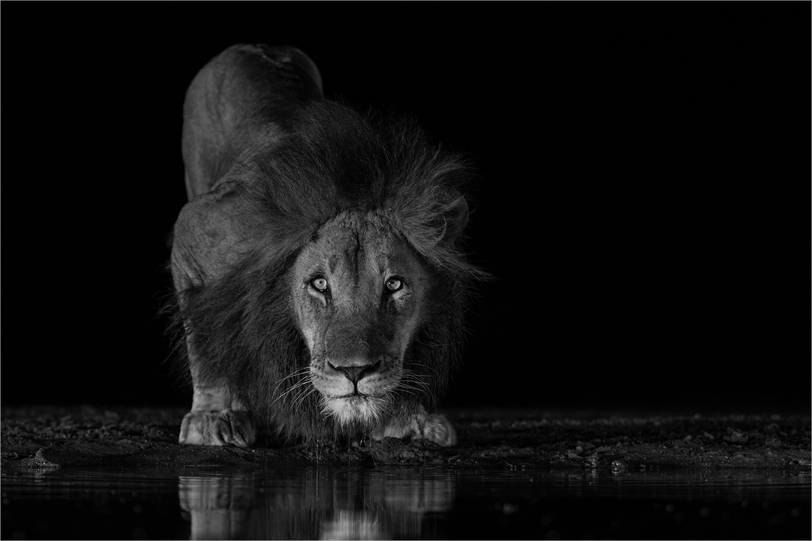Category Runner Up - Club Medal - Open Monochrome - Something is there - Howard Gillitt - Westville Camera Club