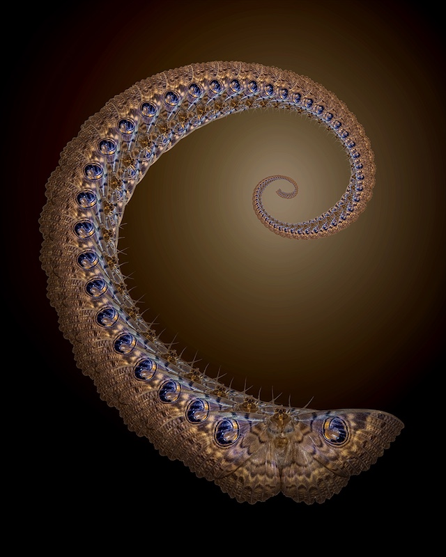 Ballito Bronze Medal-Open Colour-Moths to light-Brian Roberts-Ballito PC