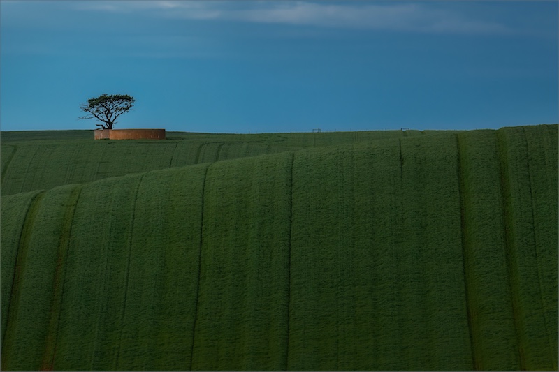 Ballito Silver Medal-Scapes Colour-Rolling Wheat Fields-Ana Kaplan-Sandton PS
