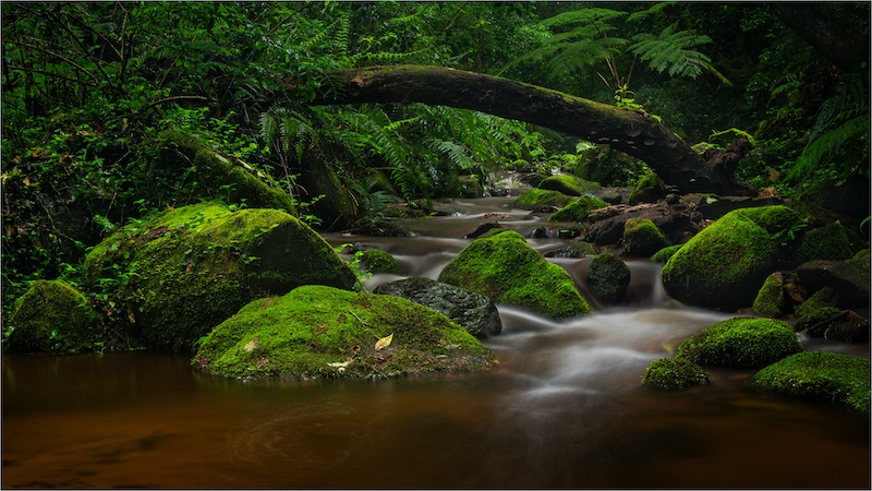 PSSA Silver Medal-Scapes Colour-Bridge over troubled waters-Francois Venter-National PC