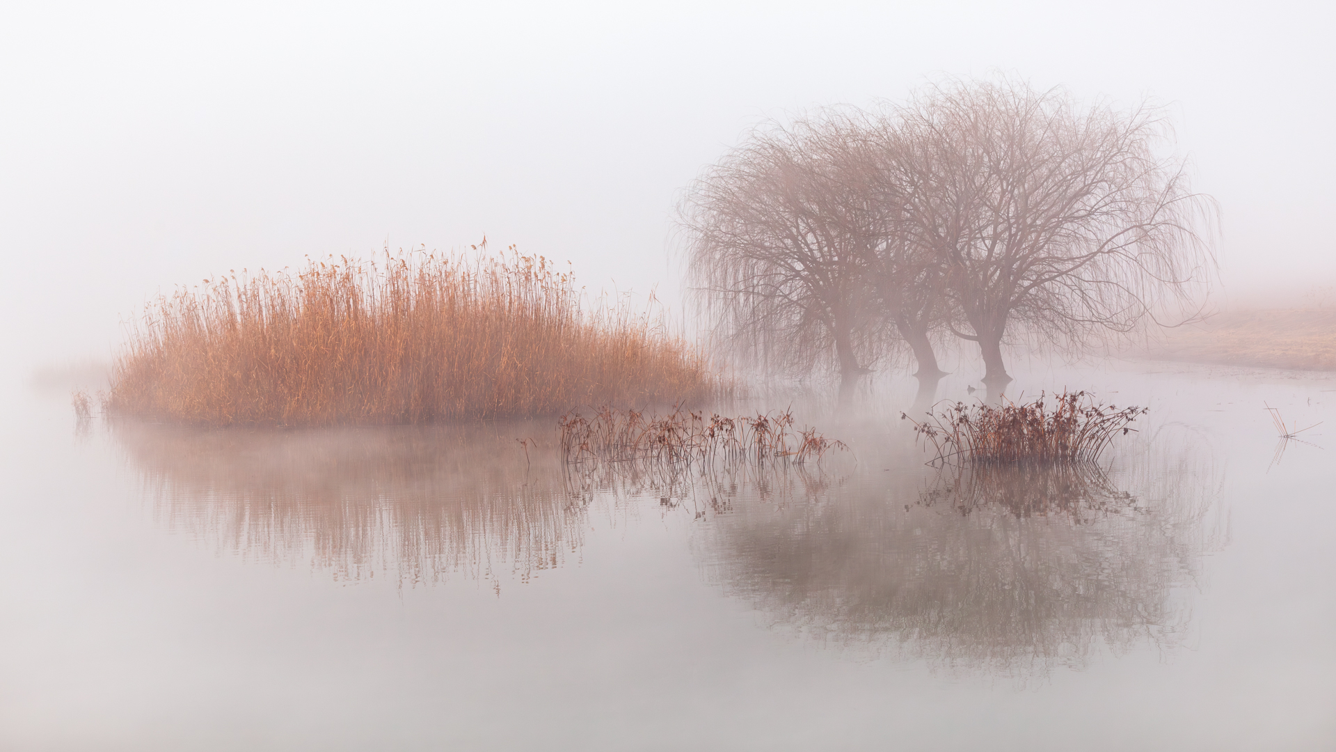 PSSA Silver Medal - Scapes - Colour - Winters mist - Carina de Klerk - Hermanus Photographic Society