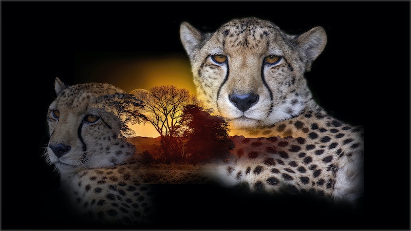 PSSA Silver medal-Open Colour-Eyes of Africa-Susie Bishop-Hillcrest Camera Club