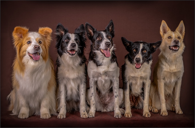 Club medal -Open Colour -Family- Anri Wessels -Wilge Fotografie