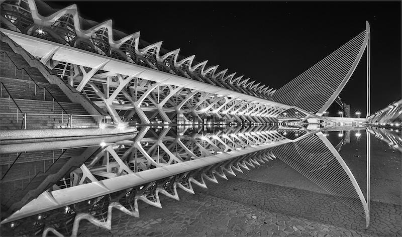 PSSA Silver Medal-Architecture-Valencia science museum-DNE Smit-Sasol Highveld Photography Club