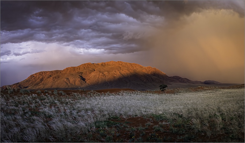 Category Runner Up PECC Silver Medal-Scapes-Lifegiving rain in the Namib-Anna Engelhardt-Cape Town Photographic Society