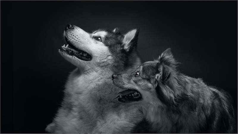 PSSA Silver-Open Monochrome-Jacob and Leah-Ryno Eksteen-AFO