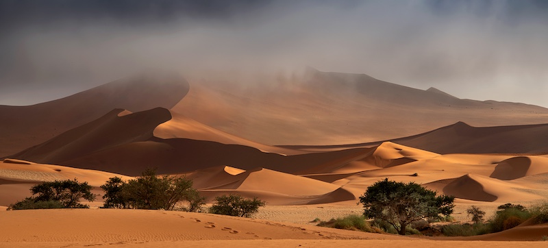 PSSA Silver Medal-Footprints in the sand-Scapes-Laetitia Kenny-Edenvale Photography Club