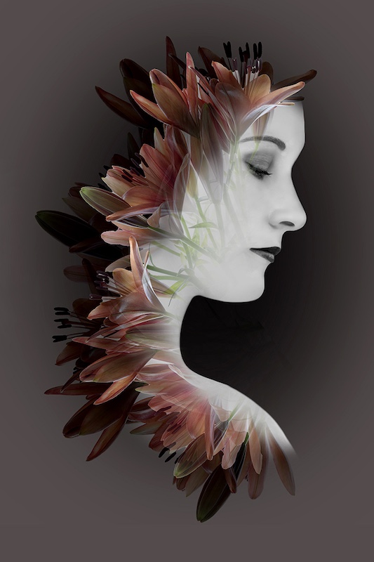 PSSA Silver-Creative-Floral Beauty-Sue Bishop-Hillcrest Camera Club