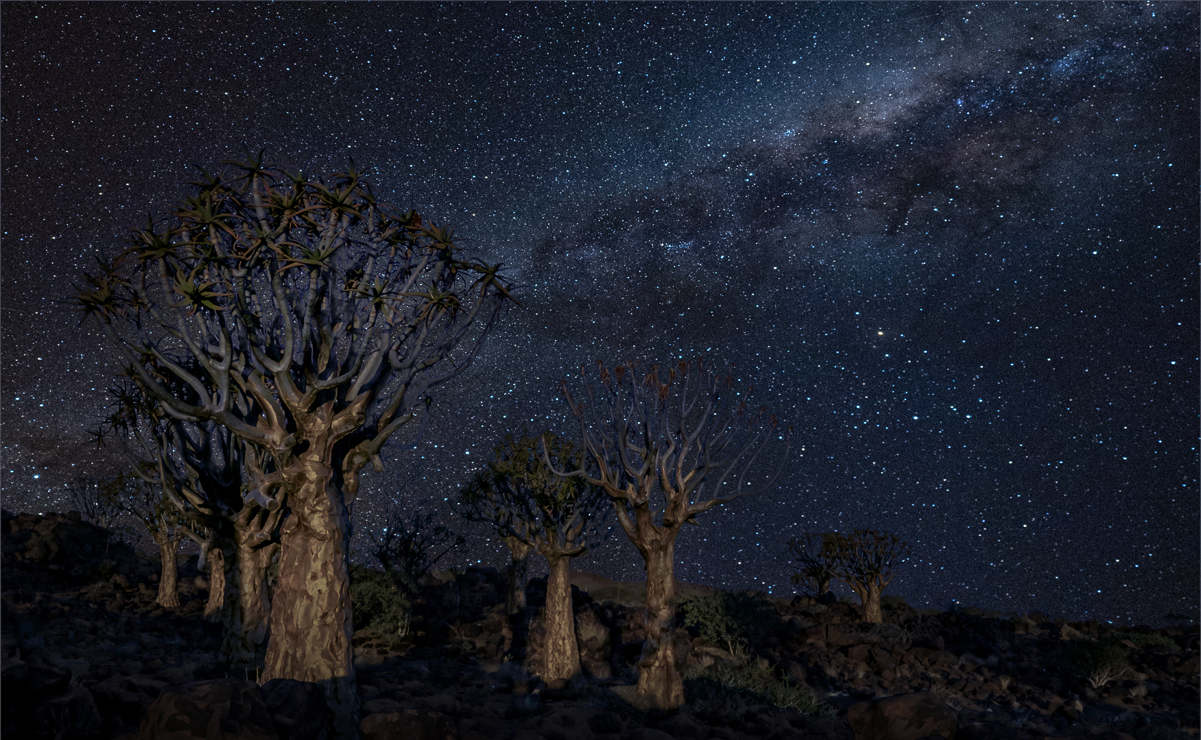 TPS Club Medal  - Scapes - Colour - Kokerboom Woud Sterre  - Dave Wickham - Highway Camera Club